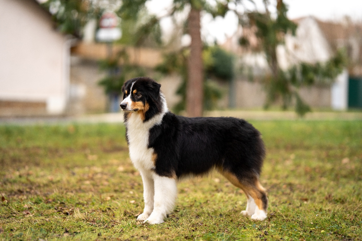 Kodaline The sunny moon @ skyron